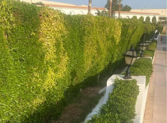 Hills Azure Topview * Sharm El-Sheikh